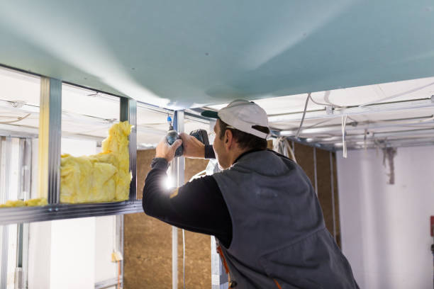 Best Attic Insulation Near Me  in Eldersburg, MD