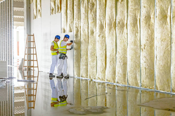 Best Insulation Repair Services  in Eldersburg, MD